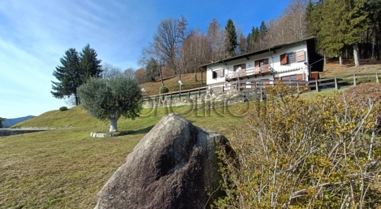 Villa con parco e piscina